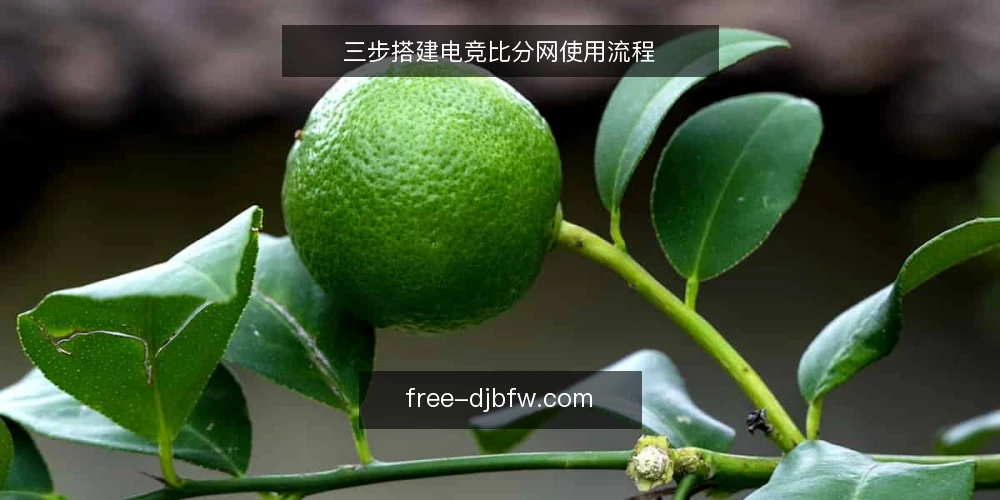 三步搭建电竞比分网使用流程 — 第一步：确认你的观赛与数据需求 配图